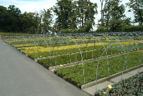 Dřeviny PODZIM 2011